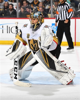 Marc-Andre Fleury Poster 3538866