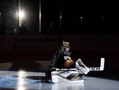 Marc-Andre Fleury Poster 3538869