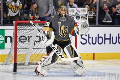Marc-Andre Fleury Poster 3538871