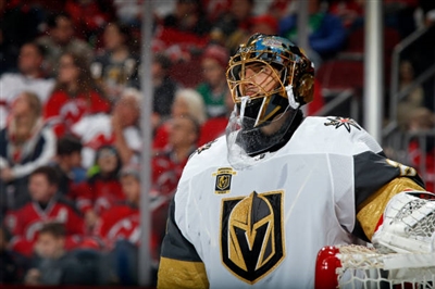 Marc-Andre Fleury Poster 3538872