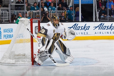 Marc-Andre Fleury Poster 3538874