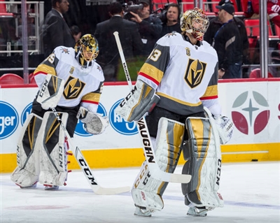 Marc-Andre Fleury Poster 3538876