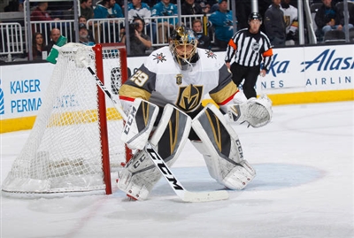 Marc-Andre Fleury Poster 3538877