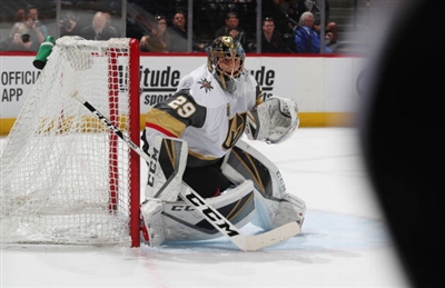 Marc-Andre Fleury Poster 3538880