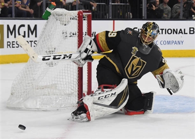 Marc-Andre Fleury Poster 3538881