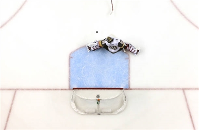 Marc-Andre Fleury Poster 3538882