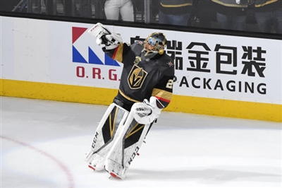 Marc-Andre Fleury Poster 3538889