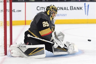Marc-Andre Fleury Poster 3538897