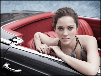 Marion Cotillard Poster 2129541