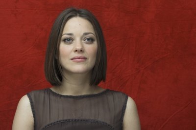 Marion Cotillard Poster 2257955