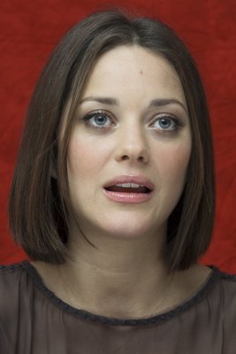 Marion Cotillard Poster 2257992