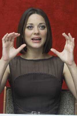 Marion Cotillard Poster 2258012