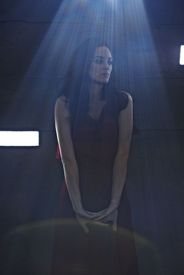 Marion Cotillard Poster 2388271