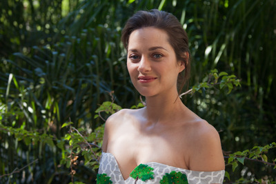 Marion Cotillard Poster 2450253