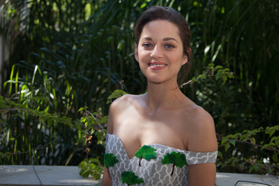 Marion Cotillard Poster 2450273