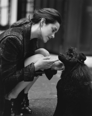 Marion Cotillard Poster 2479048