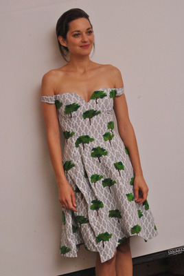 Marion Cotillard Poster 2487476