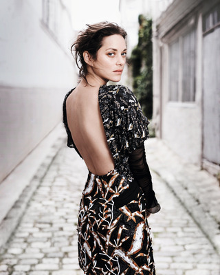 Marion Cotillard Poster 2631819