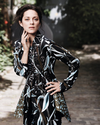 Marion Cotillard Poster 2631820