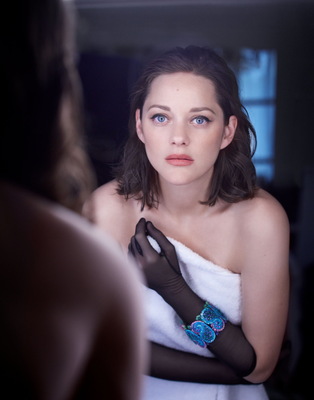 Marion Cotillard Poster 3681578