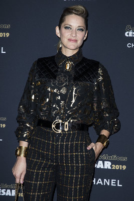 Marion Cotillard Poster 3776364