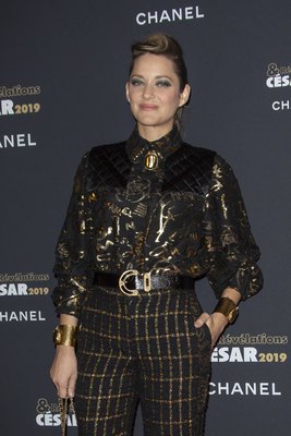 Marion Cotillard Poster 3776405