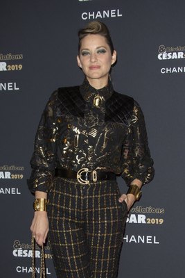 Marion Cotillard Poster 3776459