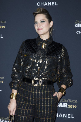 Marion Cotillard Poster 3776471