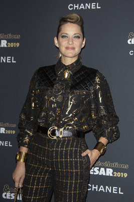 Marion Cotillard Poster 3776473