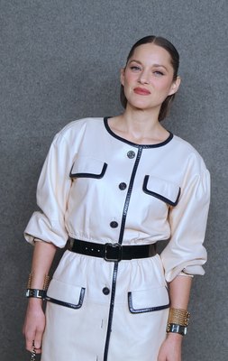 Marion Cotillard Poster 3803380