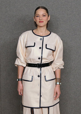 Marion Cotillard Poster 3803395