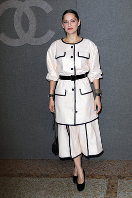 Marion Cotillard Poster 3803456