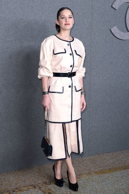 Marion Cotillard Poster 3803457