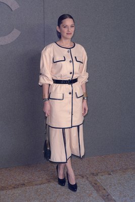 Marion Cotillard Poster 3803464