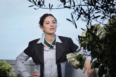 Marion Cotillard Poster 3876615