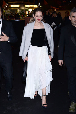 Marion Cotillard Poster 3903564