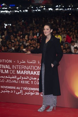 Marion Cotillard Poster 3922954