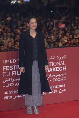 Marion Cotillard Poster 3922976