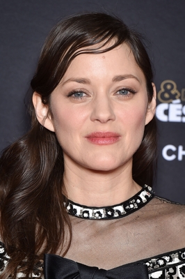 Marion Cotillard Poster 3949540