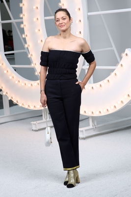 Marion Cotillard Poster 3958445