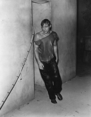 Marlon Brando Poster 1535451