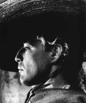 Marlon Brando Poster 1535469