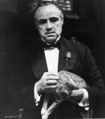 Marlon Brando Poster 2557215