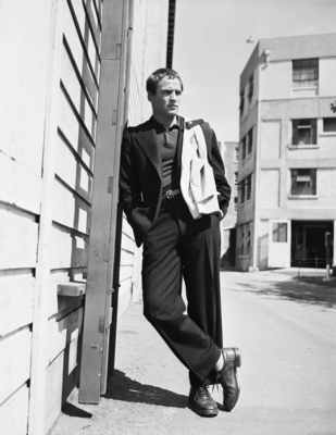 Marlon Brando Poster 2557245