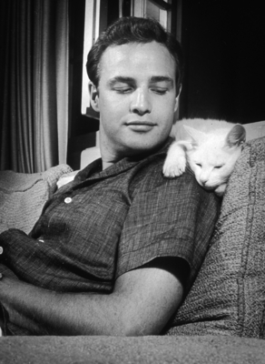 Marlon Brando Poster 2557250