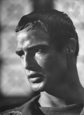 Marlon Brando Poster 2557311