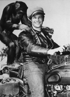 Marlon Brando Poster 2557345