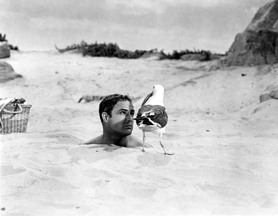 Marlon Brando Poster 2557366