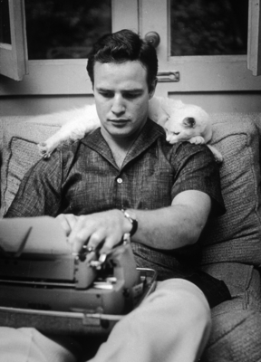 Marlon Brando Poster 2557430