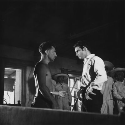 Marlon Brando Poster 2557437